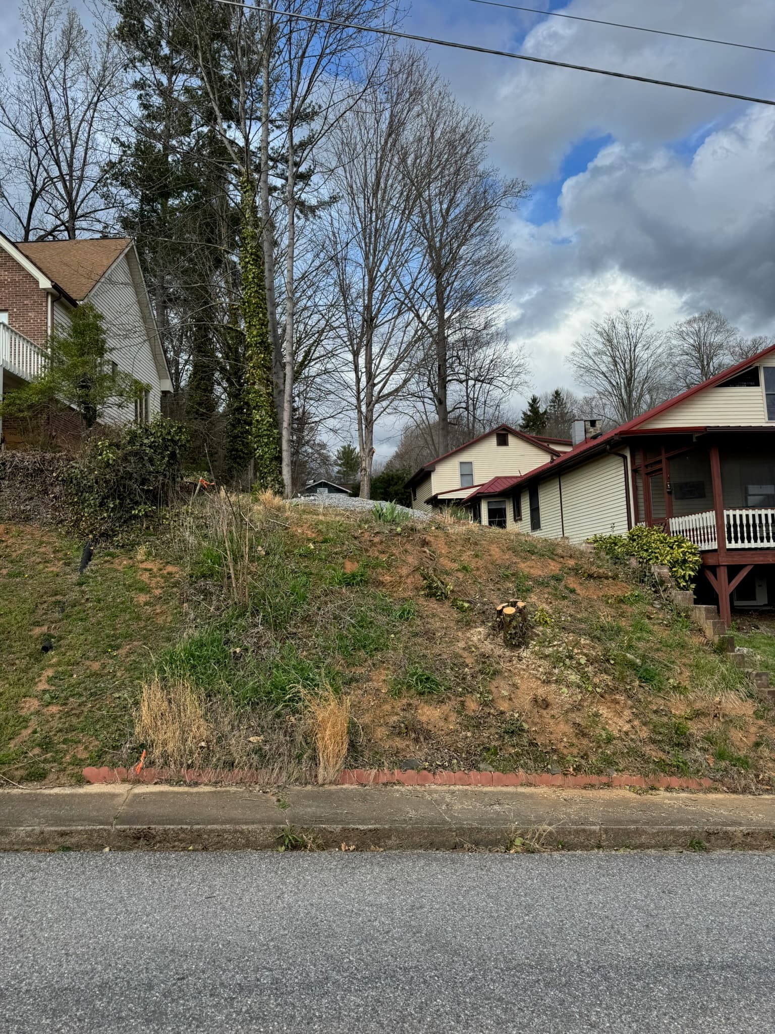 Steep grassy hill with a tree stump rising from a sidewalk toward suburban houses.